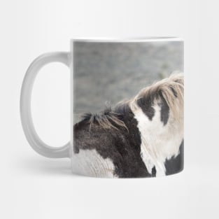 South Steens Wild Stallion Maestro Mug